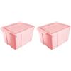 Acan Tradineur - Confezione da 2 Scatole di Conservazione - Realizzato in plastica - Contenitore per riporre Giocattoli, Libri, Vestiti, Coperte - N.º 1 (Rosa) - 21 x 39,6 x 29,6 cm - 16 Litri