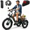 ZRLYbau Triciclo Cargo Elettrico Adulti 24 Pollici Ruote Large 7 Marce Green | Batteria Rimovibile Triciclo Adulti Motore Potente Specchietto Retrovisore Faro Grande Cesto Poster