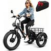 ZRLYbau Triciclo Elettrico per Adulti Ruote Large 24 Pollici Cargo 7V Black | Motore Ad Alta Velocita Batteria Rimovibile Specchietto Retrovisore Faro Luminoso Cesto Capiente
