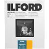 Ilford Multigrade IV RC Deluxe 25M inkjet paper - printing paper (20.3 x 25.4cm)