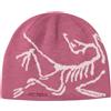 Arc'Teryx Cappello Bird Head Toque Lt Renegade/Rose
