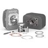 Generico GRUPPO TERMICO CILINDRO MALOSSI Ø 43 IN GHISA 65CC CON SPINOTTO Ø 10 CIAO PX 50