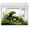 Craftsboys Acquario in vetro bianco da 25 l, con luci a LED e sistema di filtraggio, mezzi filtranti, acquari tropicali (25 l)