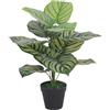 Leaf Design UK - Pianta artificiale realistica con vaso, calathea ornata, 60 cm
