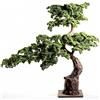 DRW Pianta artificiale di bonsai in PE e PVC, verde e marrone, 265 x 70 x 220 cm