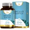 L1fe Nutrition LN Bacillus Subtilis, 90 Capsule, 6 Miliardi CFU Alta Potenza | Bacillus Subtilis | 6 miliardi CFU per dose | Non-OGM, senza glutine e allergeni | Prodotto nel Regno Unito