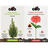 Cifo Concime idrosolubile per siepi e piante verdi 600 g & Asso di Fiori Concime in Polvere solubile per tutte le piante da balcone giardino ed orto 1 Kg