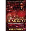 Chris Green The Plug of Lil Mexico (Tascabile)