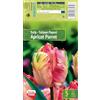 AGRONOM Tested in the garden AGRONOM | TULIPANI - APRICOT PARROT | Bulbi da Fiore Perenniali | Rosa Fiori| Piantati in Giardini Fioriti, in Prati Fioriti | I Meravigliosi Fiori | Bulbi di Tulipano | 5 Bulbi