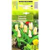 AGRONOM Tested in the garden AGRONOM | TULIPANI - CONCERTO | Bulbi da Fiore Perenniali | Bianco Fiori| Piantati in Giardini Fioriti, in Prati Fioriti | I Meravigliosi Fiori | Bulbi di Tulipano | 5 Bulbi