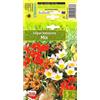 AGRONOM Tested in the garden AGRONOM | TULIPANI - MIX BOTANICZNY | Bulbi Tulipani | Bulbi fiori perenni | Fiori miscela | Sono piantati in giardini fioriti, in prati fioriti | I meravigliosi fiori | Confezione da 5 Bulbi