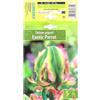AGRONOM Tested in the garden AGRONOM | TULIPANI - EXOTIC PARROT | Bulbi Tulipani | Bulbi fiori perenni | Fiori Verde-Rosa | Sono piantati in giardini fioriti, in prati fioriti | I meravigliosi fiori | Confezione da 5 Bulbi fiori