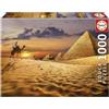 Educa - Puzzle 1000 pezzi Cammello nel deserto | Puzzle animali e deserto | Misura 68x48 cm | Include colla Fix | Per adulti 14+ (19643)