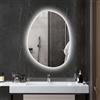 HOMCOM Specchio Bagno con Luci LED a 3 Temperature, 80x60cm, IP44, Argento | Specchio da Parete Moderno, Retroilluminato Reversibile, Antiappannamento, Funzione Memory, Vetro Temperato