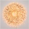 LuminalPark Catena MiniCluster 30,5 m, 1500 LED Bianco Caldo Traditional, con Memory Controller, Cavo Trasparente, 30V