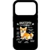 Corgi Chaos Club Custodia per iPhone 17 Pro Divertente anatomia di un corgi amante dei cani Doggo Pet Owner Humor
