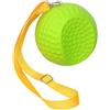 ECMQS Swing Trainer - Correttore di postura del braccio delle palle di collegamento, per migliorare la precisione del posizionamento e ridurre il movimento della mano, dispositivo portatile per