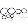 BDDCUHI6S Kit di ricostruzione guarnizioni Power Trim for R, MR, A-PHA One, A-PHA One II e Br-vo I, II e 87400 25-87400A2