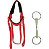 MotiveTech Redini da Equitazione con Morso al Sapore a Forma di Frutto Resistente Redini in Tessuto con Fibbie Metalliche Cavezza Inglese Combinata