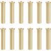 YELARXI Punte Peso e Punte Tappo in Ottone 9g 12 Pezzi | Accessorio per testa peso Bastone da golf, spike ponderato per golf, per albero in acciaio legno ferro, componente