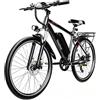 Pudari Bicicletta elettrica BK900 | Motore senza spazzole Pneumatici larghi da 26 pollici Doppio freno a disco a doppio ammortizzazione conforme CE e EN15194