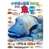 Yoji Matsuzawa Shogakukan Picture Book Neo Fish With Dvd (Tascabile)