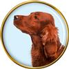 Cane Setter Irlandese Rosso Distintivo di Lapel Pin
