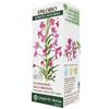 Giorgini - Epilobio Estratto Integrale 200 ml - Integratore per il Benessere della Prostata