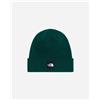 The North Face Dock Worker - Berretto - Verde