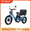 Daibot Fat Tire Bici elettrica Cargo 3 ruote Adulti 2 posti Potente triciclo elettrico con passeggeri Anziani adulti Pick Up Bambini