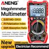 ANENG Tester Digitale di Resistenza di Isolamento Multimetro Megaohmmetro 2 in 1 Intelligente 19999 Conti Tensione AC DC Multifunzione ANENG MH17