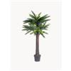 Bizzotto Pianta artificiale da esterno Palma Cycas, alt. 190 cm - Verde