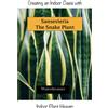 Water Dreamer Creating an Indoor Oasis with Sansevieria Snake Plant (Tascabile)