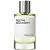 Maison Crivelli Papyrus Moléculaire - 100ml