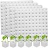 AwnsIMfreien Spugne per Coltivazione, Spugne Idroponiche da 4 Pezzi, Crescere con Cubi Pretagliati e Fori Centrali, Spugna per Avviamento di Semi Riutilizzabile per Coltivazione Fuori Suolo, Giardinaggio Interno