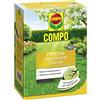 COMPO Concime per Prato Starter, Per la Semina e la Rigenerazione di Tappeti Erbosi, Per Radici Più Forti, 2,5 kg
