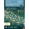 Kaemingk Catena Luminosa Extra Dense 756 microled Bianco Caldo con Giochi di Luce Filo Argento