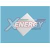 SPEED Xenergy Filtro Fibra Ford Fiesta '08 Ad. 1541456 X10793