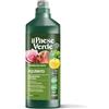 Il Paese Verde Equiseto Il Paese Verde, 1L | Decotto di equiseto con azione di controllo delle malattie fungine - Prodotto 100% naturale che rispetta l'ambiente, l'uomo