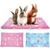 MICOOYO Set di 2 tappetini da letto per conigli, porcellini d'India, scoiattoli, criceti, 2 pezzi (49 x 32 cm)