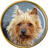 Australiano Cane Terrier Distintivo di Lapel Pin