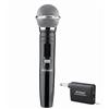 Microfono Professionale Uhf Con Ricevitore Wireless Karaoke Conferenze Ktv-8.6