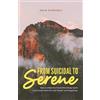 Amir Siddiqui From Suicidal to Serene (Tascabile)