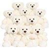 Yeqivo Orsi di peluche Animali imbalsamati Giocattoli di peluche Regalo per Bambino Fidanzata 13.5 Pollici per Natale San Valentino Compleanno Matrimonio Festa (Bianco,10Pcs)