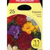 Holland Park Bulbi da Trapianto di Vari Colori e Tipologie a Fioritura Primaverile/Estiva (FRESIA DOPPIA MIX 25 bulbi)