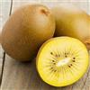 le Georgiche Vivai le Georgiche - Pianta vera di Actinidia deliciosa Minkigold - femmina Kiwi - vaso Ø 18 cm - altezza alla vendita 160-180 cm