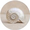 OnlyWow© Tappetino Doccia Accessori Per Il Bagno Tappeto Memory Foam | 70x70 cm - Rotondo - Bathmat Bathroom Mat Assorbente Lavabile Moderni Conchiglia - Spirale - Beige
