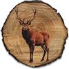 DRO Design - Cervo - Dimensioni 20 cm - Quadro da parete immagini in legno, decorazione rustica, vintage, effetto legno, idea regalo, decorazione da parete, motivo animali, effetto legno