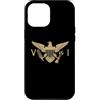 FLAG OF U.S. VIRGIN ISLANDS Custodia per iPhone 12 Pro Max Bandiera delle Isole Vergini degli Stati Uniti