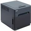 Dnp Stampante fotografica Dnp Photo Imaging DP-QW410 300x300dpi 4" x 6" Nero [212410]